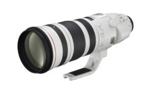Canon EF 200-400mm F4L IS 1.4x