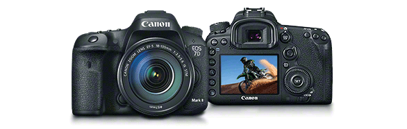 Beheer onderpand Kapper Canon EOS 7D Mark II vs EOS 5D Mark III Hands-on Review (DigitalRev)
