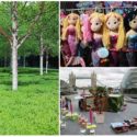 Canon EOS M3 sample pictures (Photography Blog)