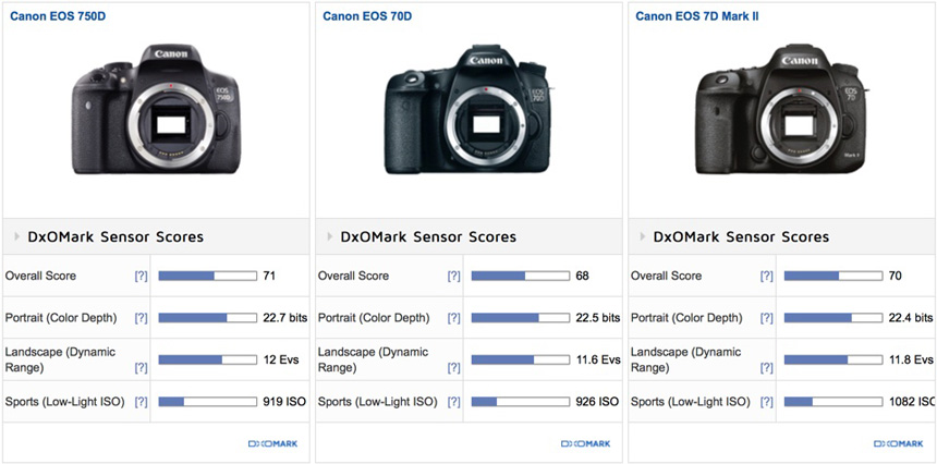 Canon EOS R8 Sensor test - DXOMARK