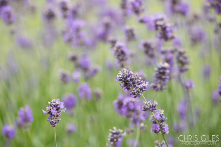 This is the result of a +4 stops recovery in Lightroom! Go see the original pic...
