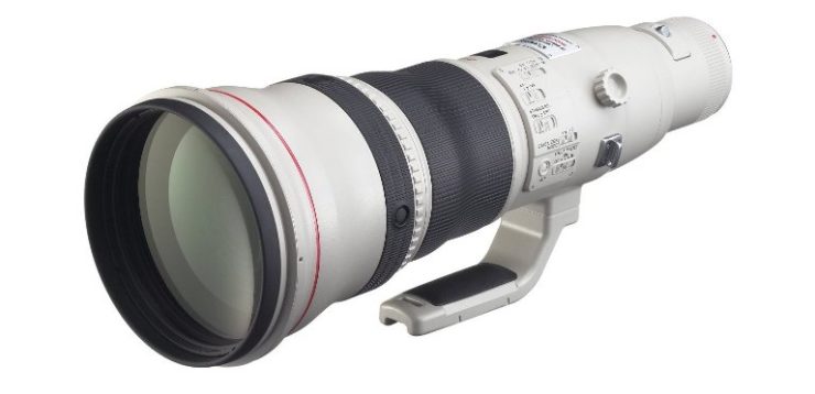 Canon EF 800mm F/5.6L IS