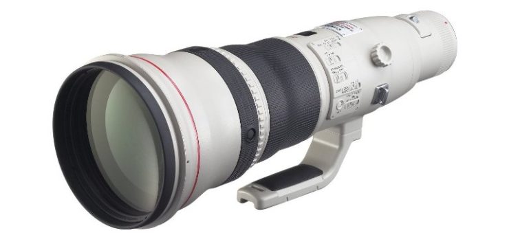 Canon EF 800mm f/5.6L IS