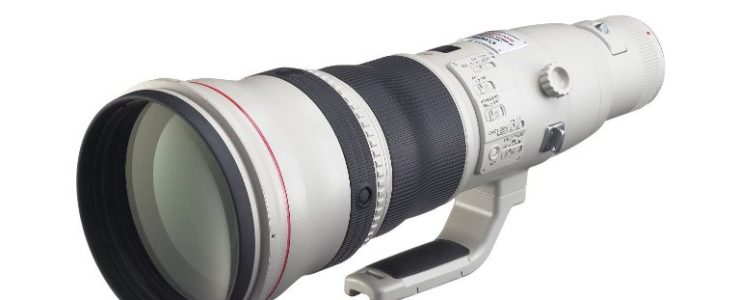 Canon EF 800mm f/5.6L IS