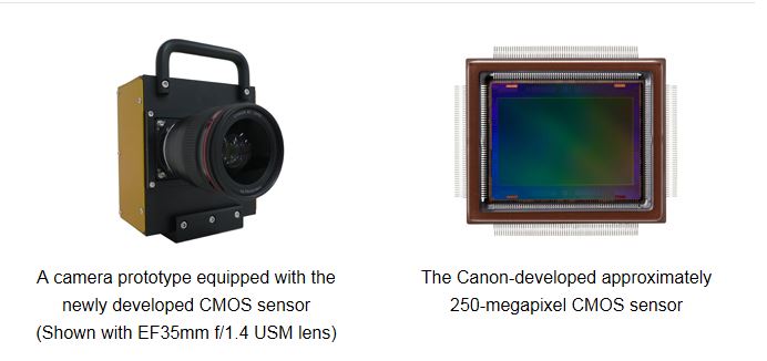 canon 250mp sensor