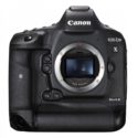 Canon EOS-1D X Mark II Full Size Sample Pics