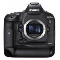 Canon EOS-1D X Mark II full size sample pics