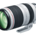 Canon EF 100-400mm F/4.5-5.6L IS Mark II Review (DPReview Gold Award)