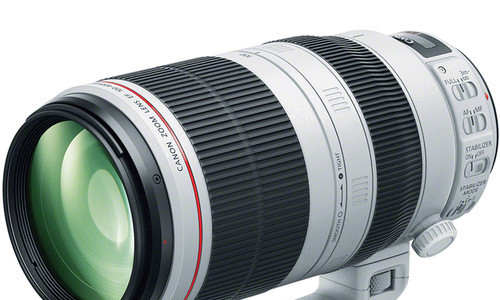 EF 100-400mm f/4.5-5.6L II