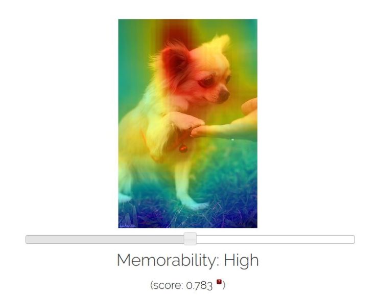 (Massachusetts Institute for Technology