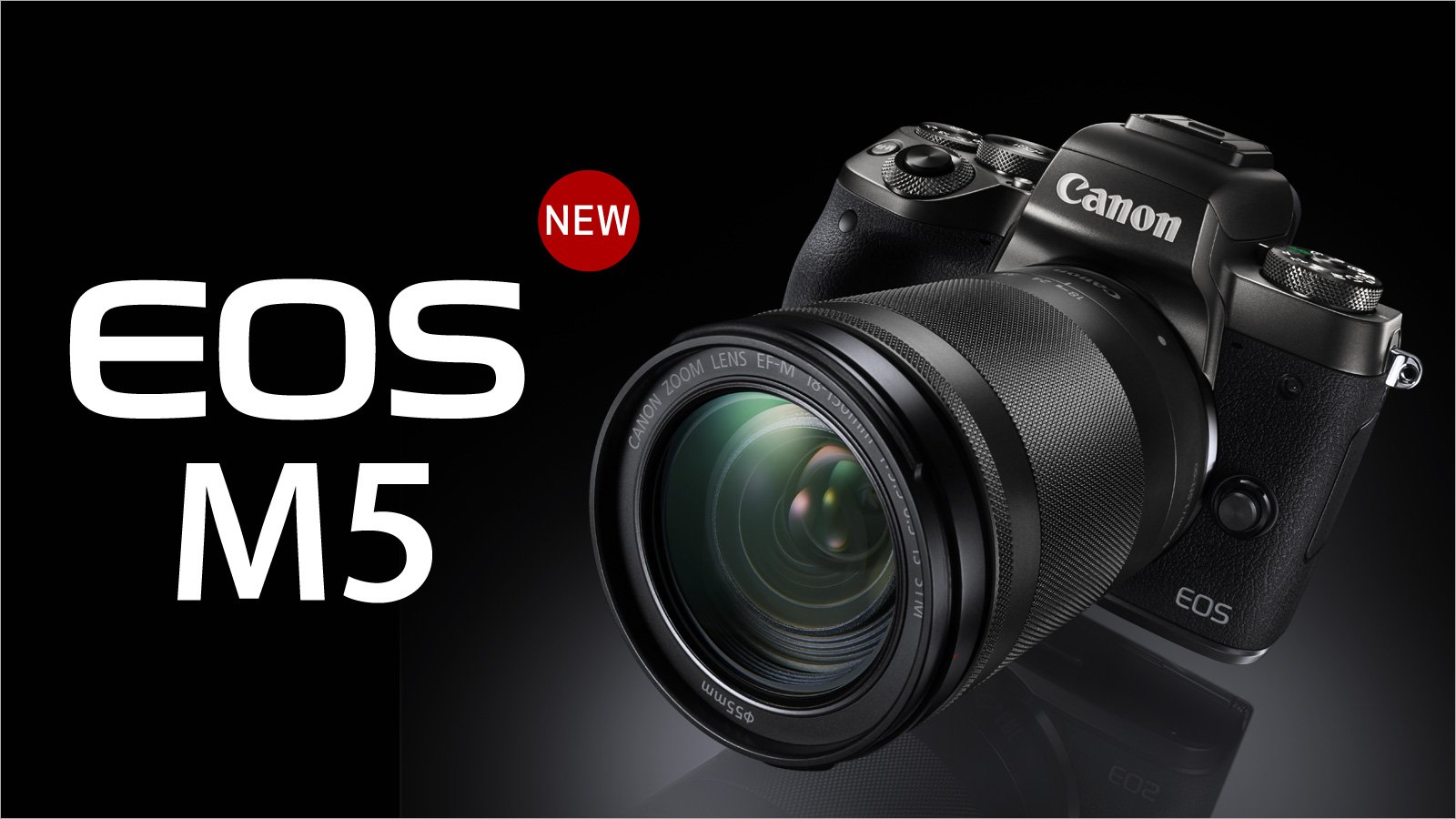 Christmas camera deal: $900 off Canon EOS R5 in lowest ever price!