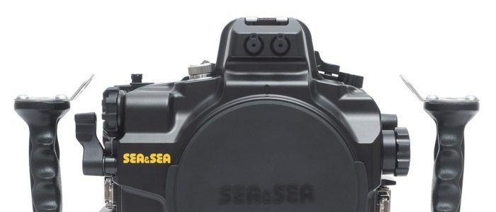eos 5d mark iv