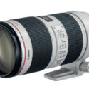 How Does A Fly Crawl Into A $2100 Weather-sealed Canon Lens?