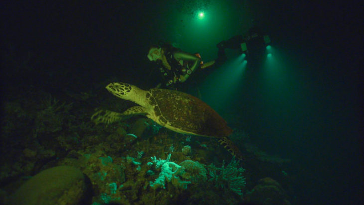 Canon U.S.A. Unveils New “Canon See Impossible” Videos, Here Are Trailers And Interviews