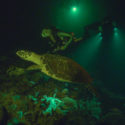 Canon U.S.A. Unveils New “Canon See Impossible” Videos, here are trailers and interviews