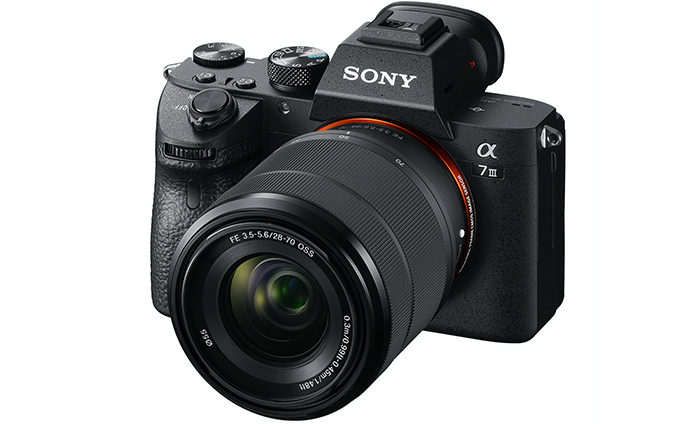 Canon Eos R6 Vs Sony α7 III