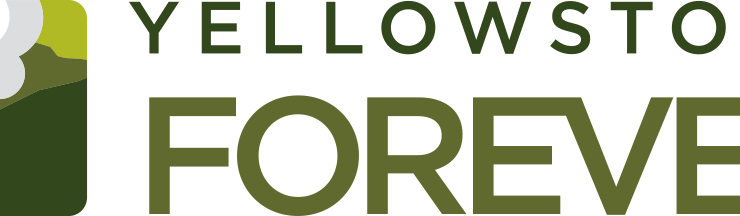 YELLOWSTONE FOREVER
