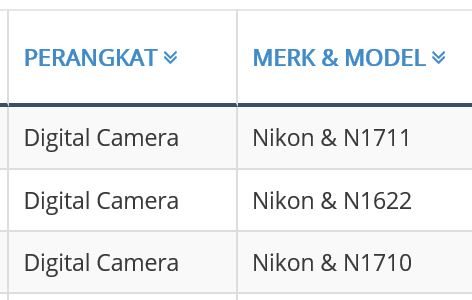 mirrorless cameras