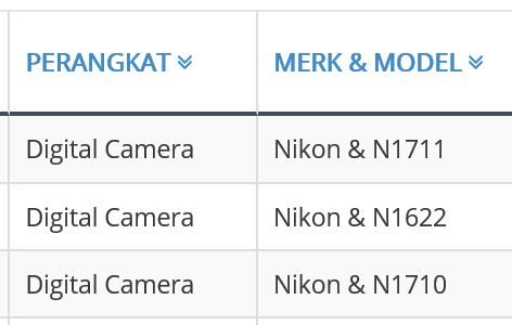 Mirrorless Cameras