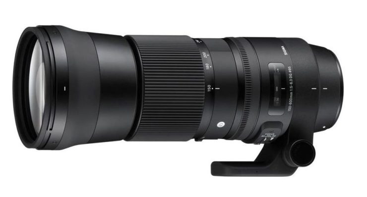 Sigma 150-600mm