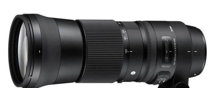 Sigma 150-600mm F5-6.3
