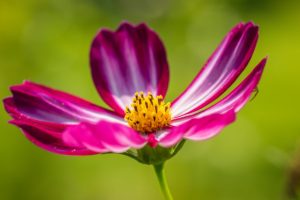 Irix 150mm F/2.8