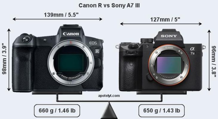 Canon EOS R Vs Sony A7 III For Video Productions – Which One Is Better?