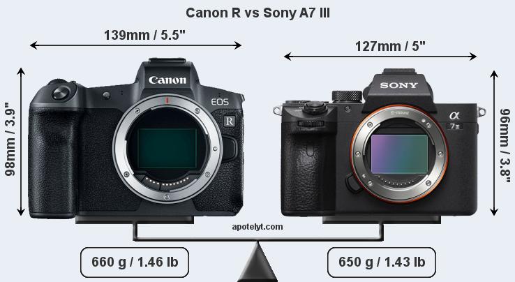 Canon EOS R vs Nikon vs Sony A7 III size comparison