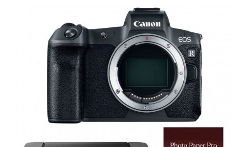 canon eos r