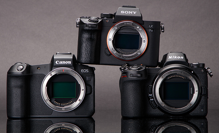 nikon z or canon r
