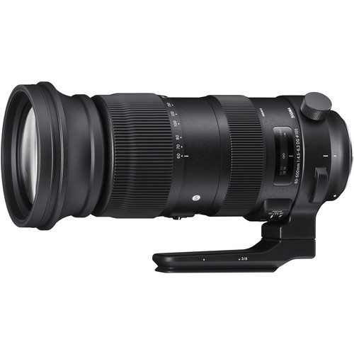 Sigma 60-600mm