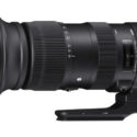 Sigma 60-600mm F/4.5-6.3 OS Sport Review (great Achievement, D. Abbott)