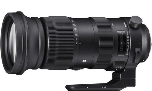 Sigma 60-600mm F/4.5-6.3