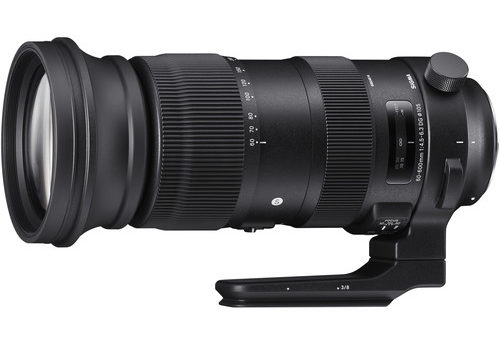 Sigma 60-600mm F/4.5-6.3