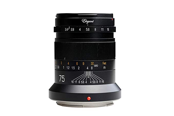 Kipon Elegant 75mm F/2.4 Review (an Awesome Bokehlicious Lens)