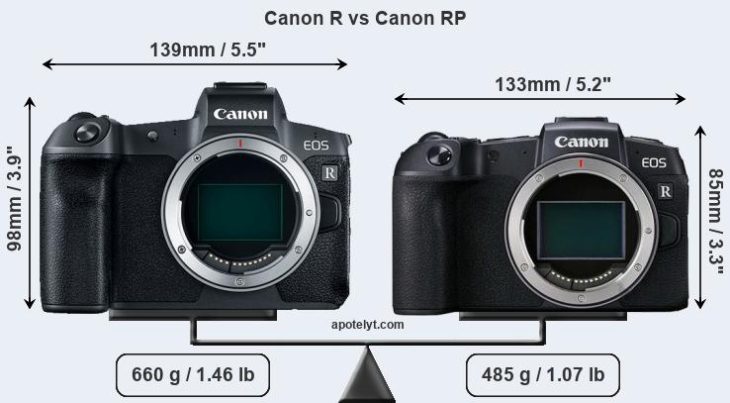 Image result for canon eos rp vs eos r