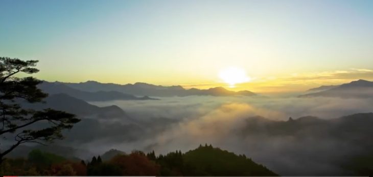 Canon Shows Official 8K Video Footage Shot With New Cinema Cameras