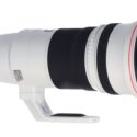 First Supertelephoto Lens For The Canon EOS R System Might Be The RF 500mm F/4L IS
