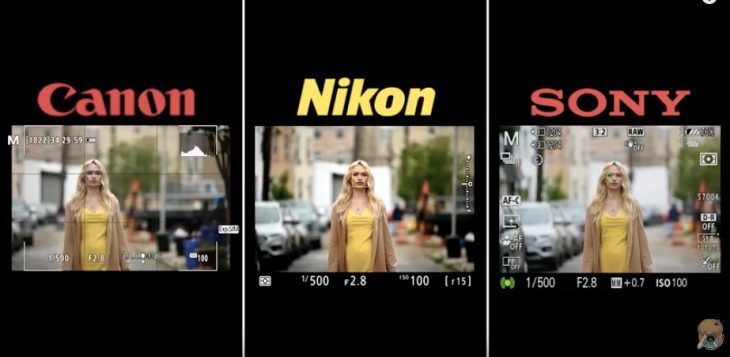 How Good Is Nikon Z 6/Z 7 Eye AF And Can It Compare With Canon And Sony?