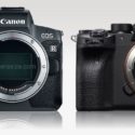 Canon EOS R5 & EOS R6 Review, And Comparison With Sony A7R IV & A7 III