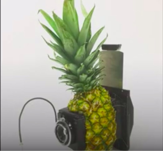 lego pineapple