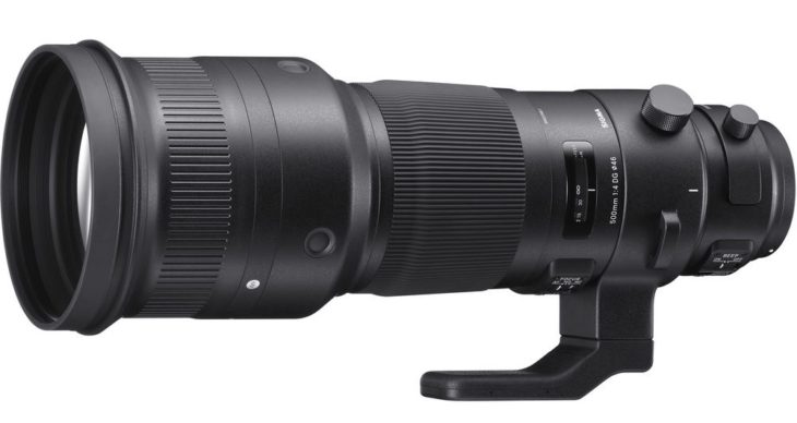 Sigma 500mm F/4 OS Sport Review (a Unique Lens, D. Abbott)