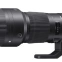 Sigma 500mm F/4 OS Sport Review (a unique lens, D. Abbott)