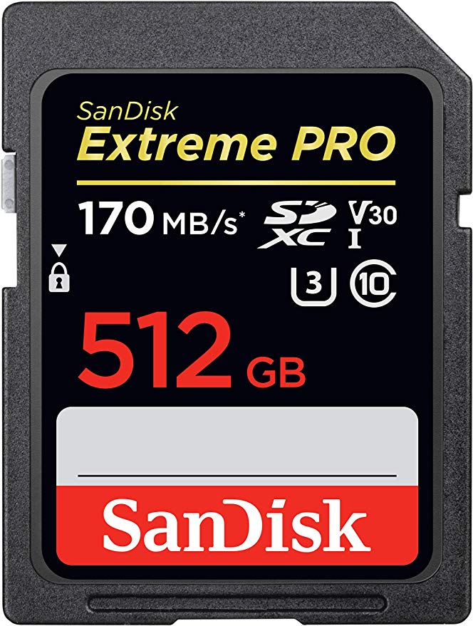 SanDisk 512GB Memory
