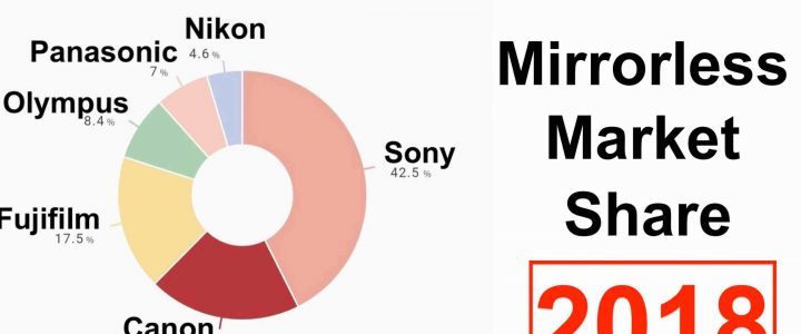 Japanese site Toyokeizai published some statistics on the mirrorless camera market in 2018. The data comes from Techno System Research,