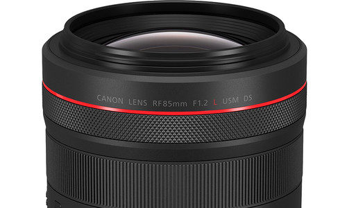 Canon RF 85mm F/1.2 DS Review