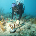 Canon Participates In University Of Miami’s Coral Reef Restoration Project