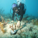 Canon Participates In University of Miami’s Coral Reef Restoration Project