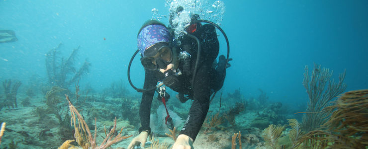 coral reef protection