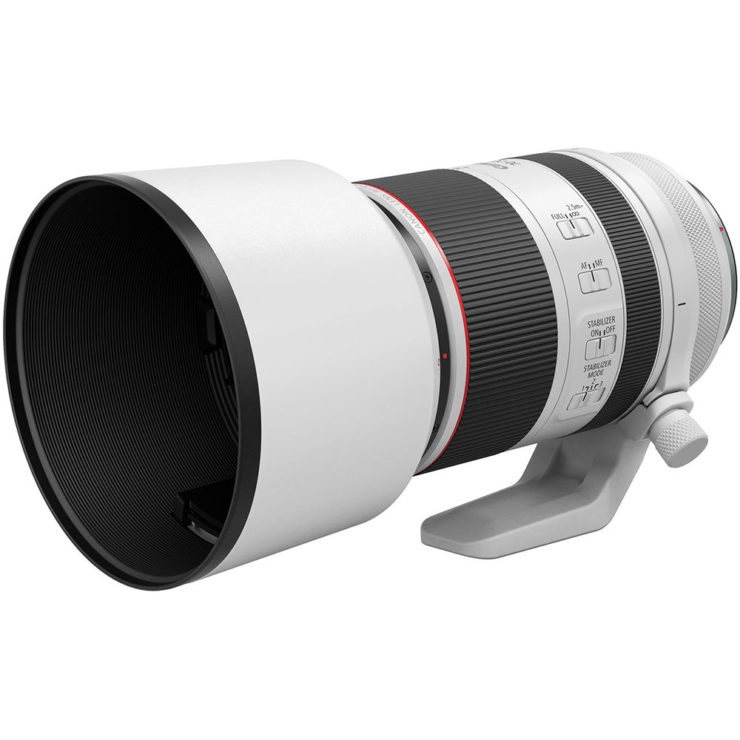 Canon RF 70-200mm F/2.8L IS Review
